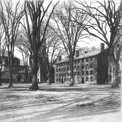 Later photos: Osborn Hall and South Middle College (Connecticut Hall) with elm trees in foreground. Circa 1880/1889.   Scrapbook owned by John W. Sterling.