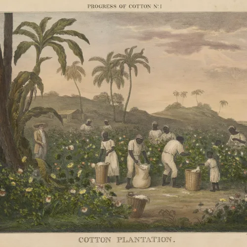 drawing from an 1840 book showing enslaved Black people picking cotton